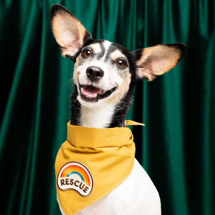 Scout's Honour Pty Ltd - Wholesale Pet bandana – Dog - Rescue iron-on patch for dogs and cats2