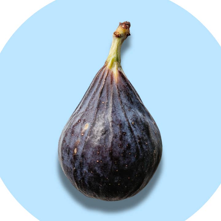 ēma Fig Solid Perfume Pod – Unique Holiday Gift for wholesale by ēma fragrance