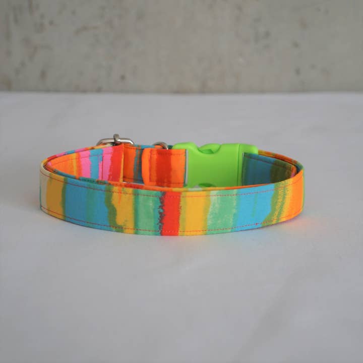 kiwi & WILLOW – wholesale Halsband - Hund – Neon Sommar Hundhalsband4