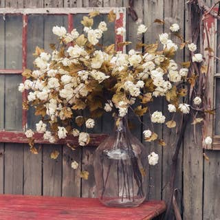 Ragon House - Wholesale Artificial Flowers - 39" CREAM HOPS STEM