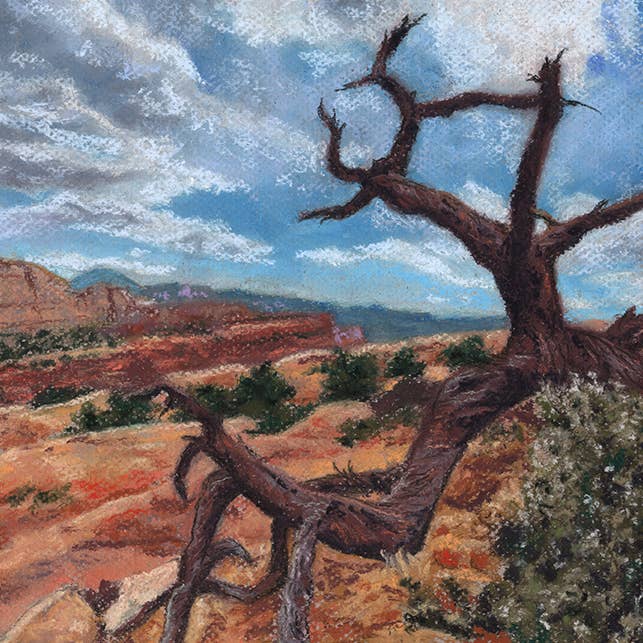 Juniper Capitol Reef National Park Trail Art Print for wholesale by Duck Girl Art