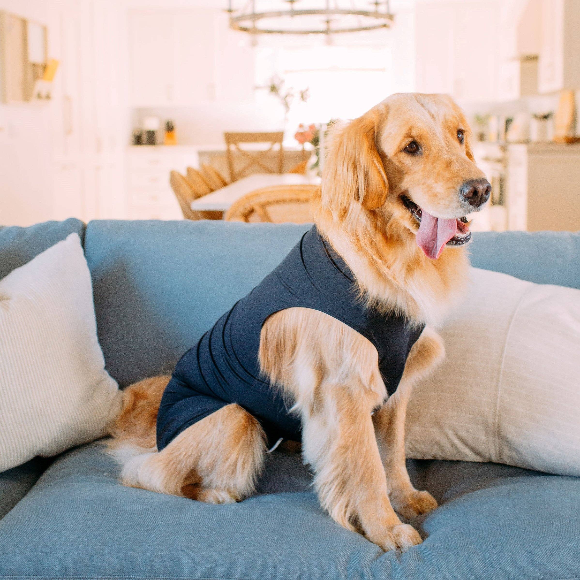 Shed Defender - Wholesale Pet Bodysuit - Cat/Dog - Shed Defender Post Surgery Recovery Suit for Dogs5