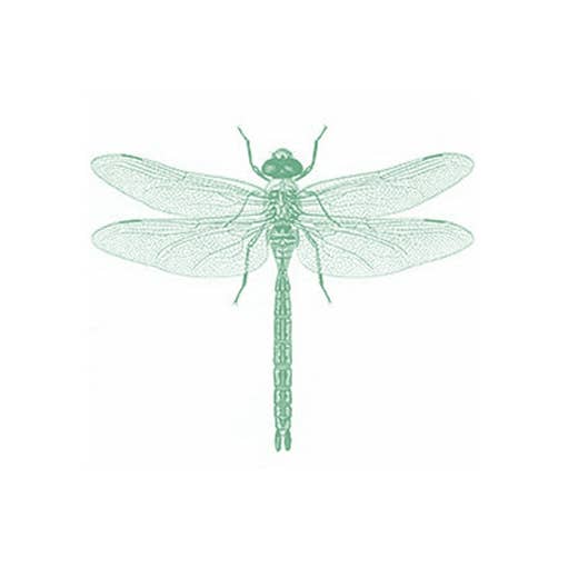 Dragonfly for wholesale by Bien Ecrit