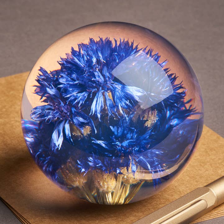 Fermacarte Fiordaliso per la vendita all'ingrosso da parte di Hafod Grange Ltd