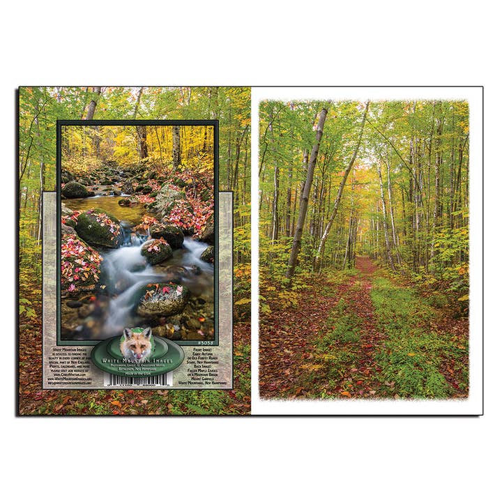#3038 Vroege herfst wegen Notecard voor wholesale door White Mountain Images