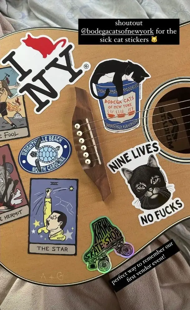 Bodega Cats of New York - Wholesale Sticker - Bodega Cats of New York 4.5" Sticker (Nine Lives)3