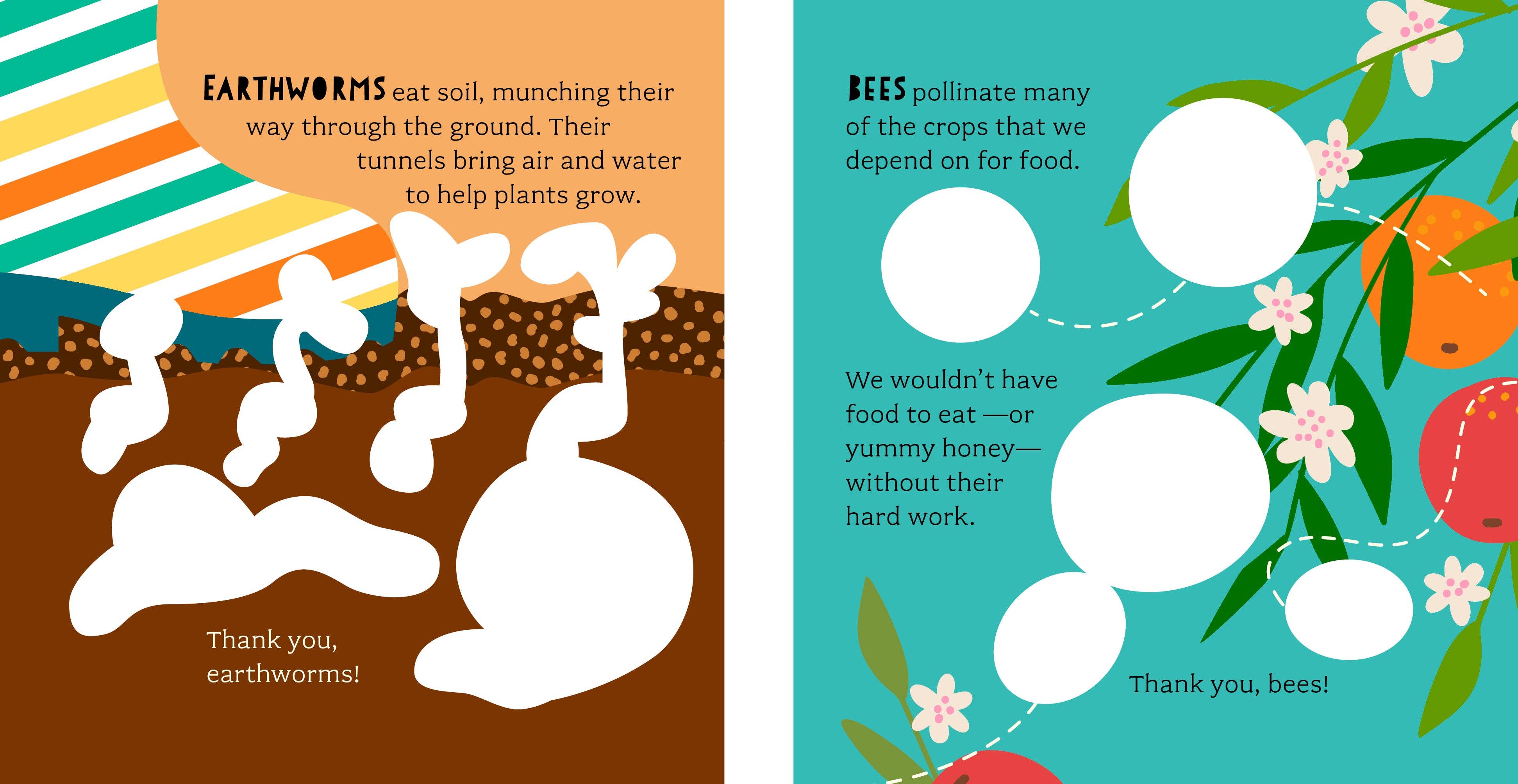 Bushel & Peck Books - Wholesale Baby & Toddler Book (0-2) - Bathtub Genius: Let's Learn About Bugs4