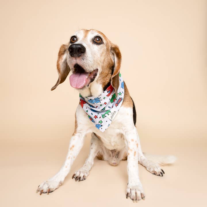 The Paws - Wholesale Pet Bandana - Dog - Coloring Bandana for Kids and AdultsÂ