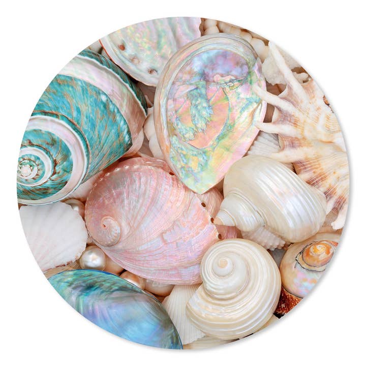 Círculo de Parede Coloridos por atacado de GM decoratie