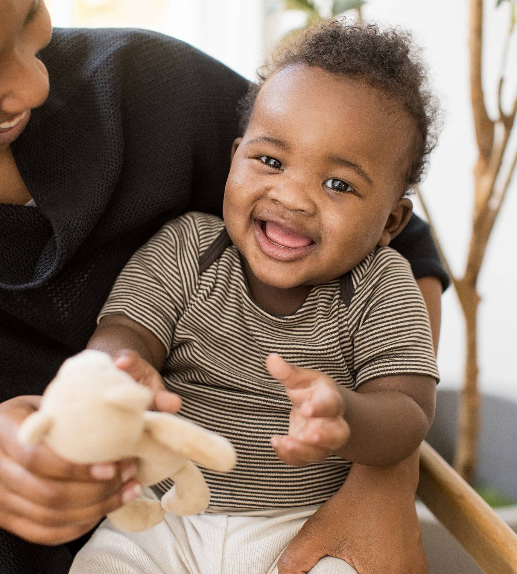 Limestone Swaying Branches Organic Short Sleeve Bodysuit & Pant Set 3 Pack for wholesale on Faire4