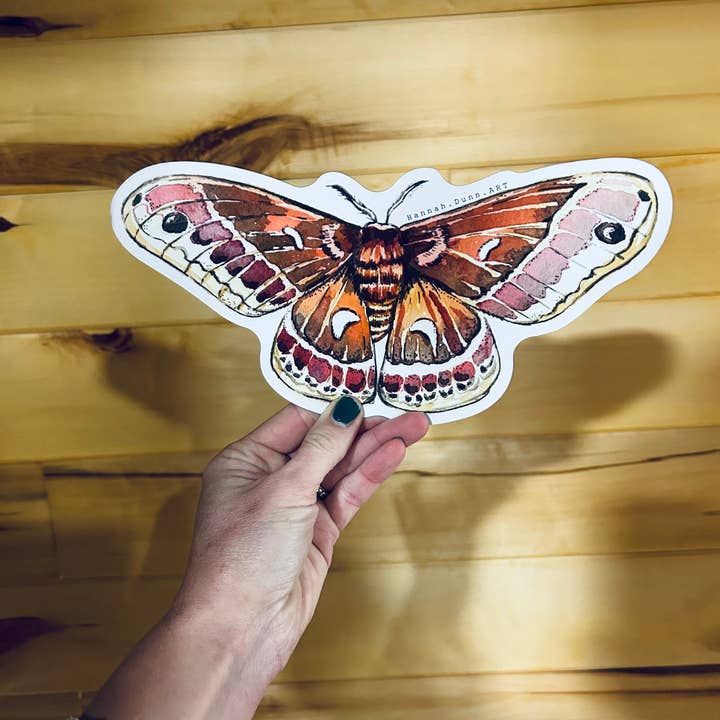 Giant Watercolor cecropia moth car Magnet for wholesale by Hannah.Dunn.ART