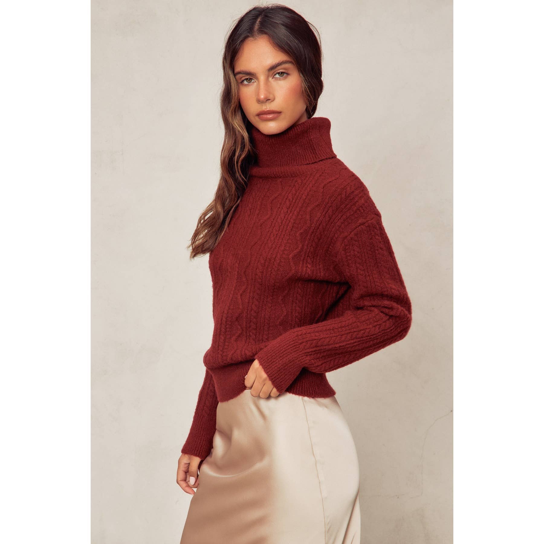Dress Forum - Wholesale Knit Sweater - Women's - Fluffy Cable Detail Turtle Neck Sweater11