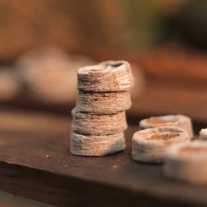 CoirProducts.co.uk of Salike Limited – Engroshandel Plantefrø – 25 mm kokosmønter | Bedst til frøspiring