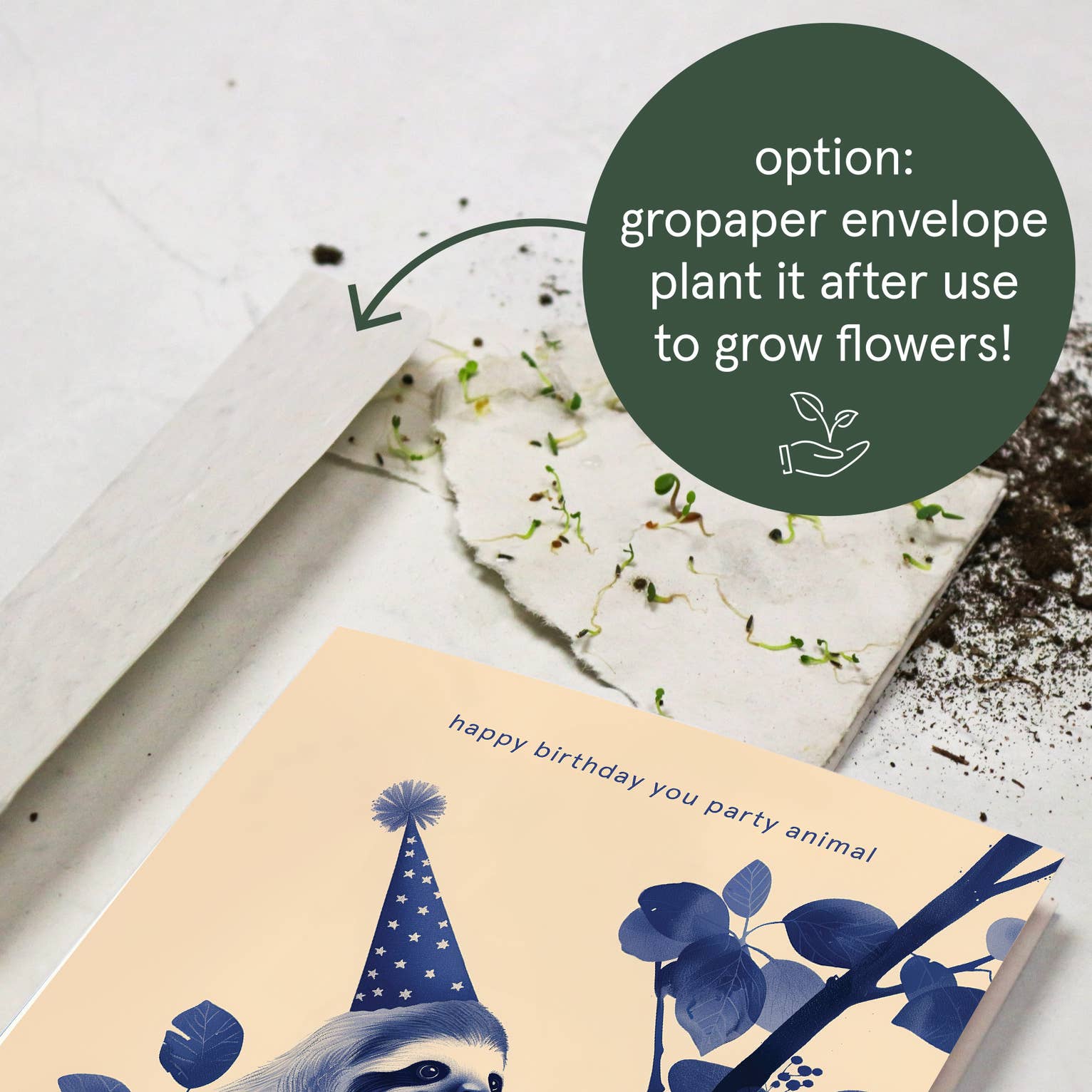 Botanopia - gifts , decor and cards for plant lovers - Vente Carte de vœux classique - Joyeux anniversaire, espèce de fêtard | Carte d'anniversaire humoristique7