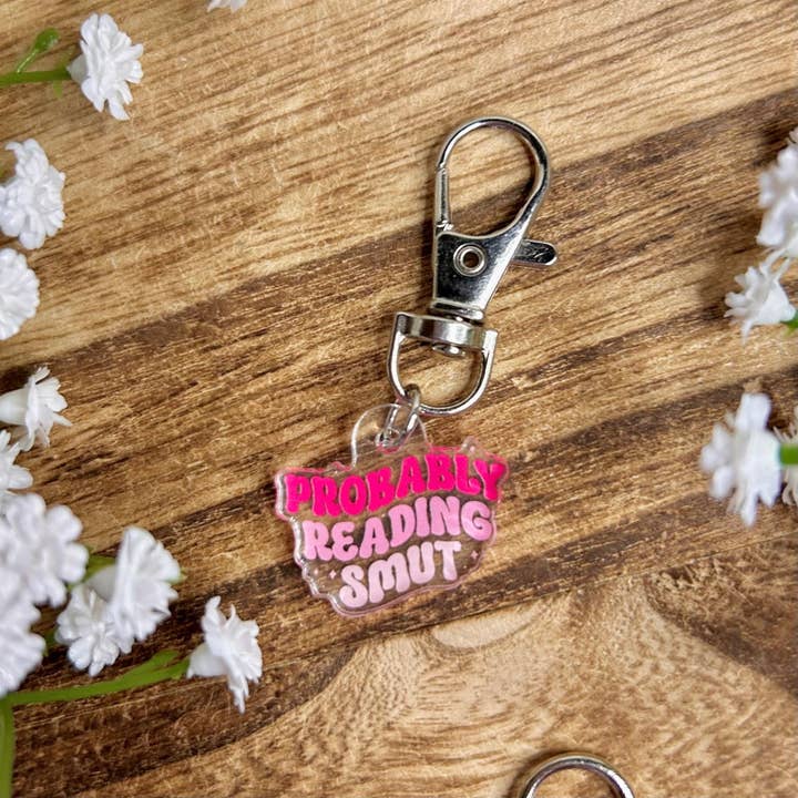 Awfullynerdy.co - Wholesale Keychain - Unisex - Probably Reading Smut Dust Plug USB-C