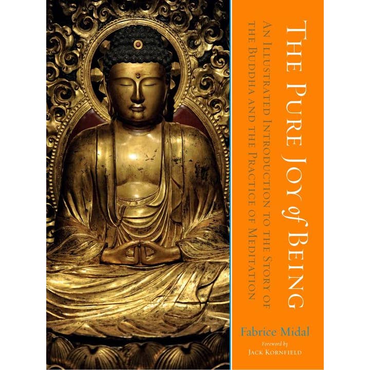 Pure joie d'être pour la vente par Microcosm Publishing & Distribution