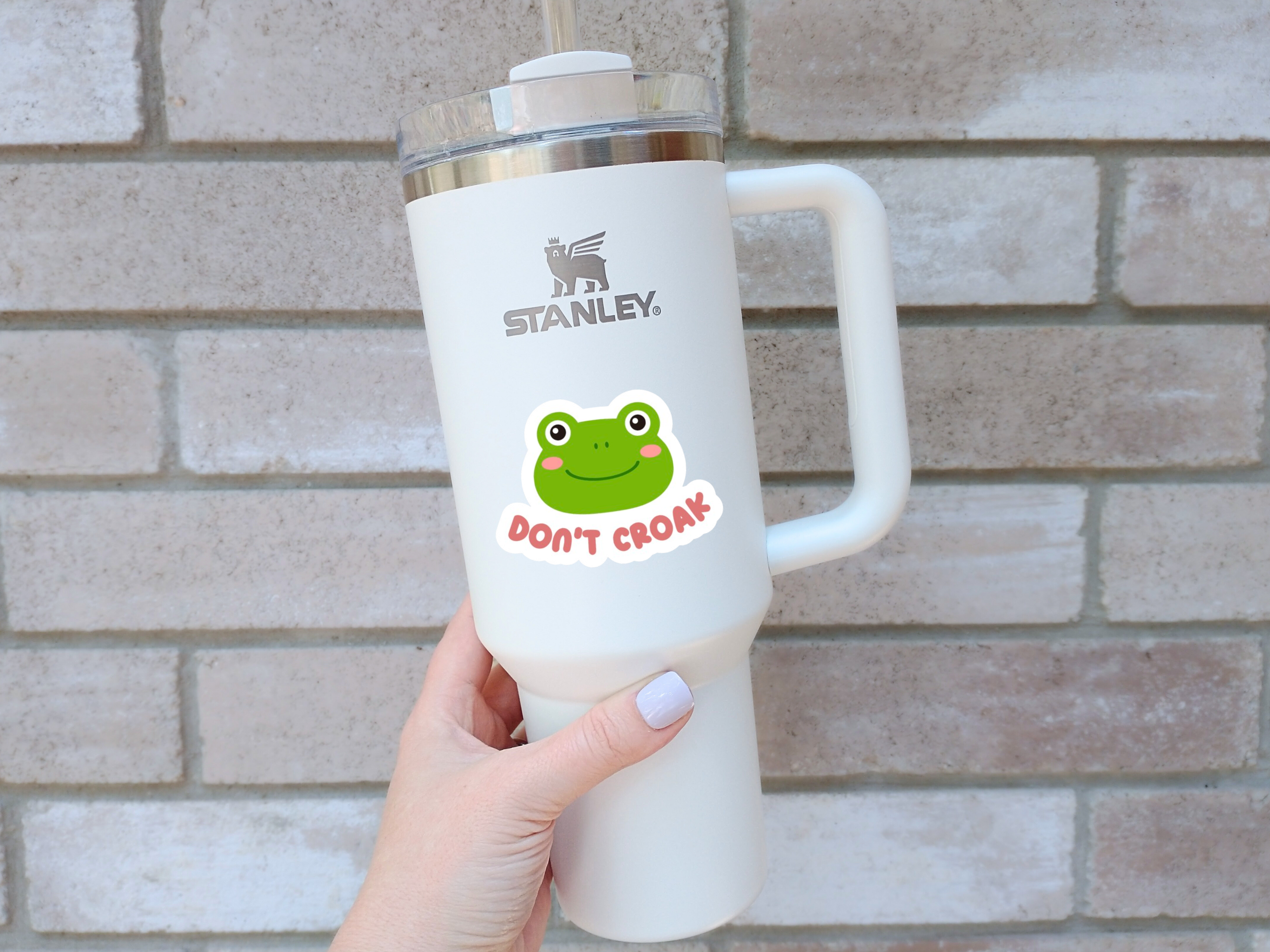 The Vinyl Rose - Wholesale Sticker - Don't Croak Sticker, Frog Sticker, Gardening Sticker1