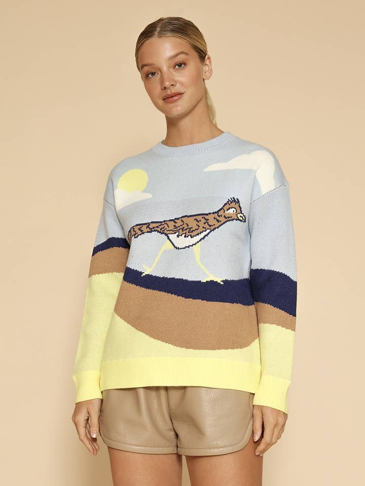 Roadrunner striktrøje for engroshandel hos Miss Sparkling