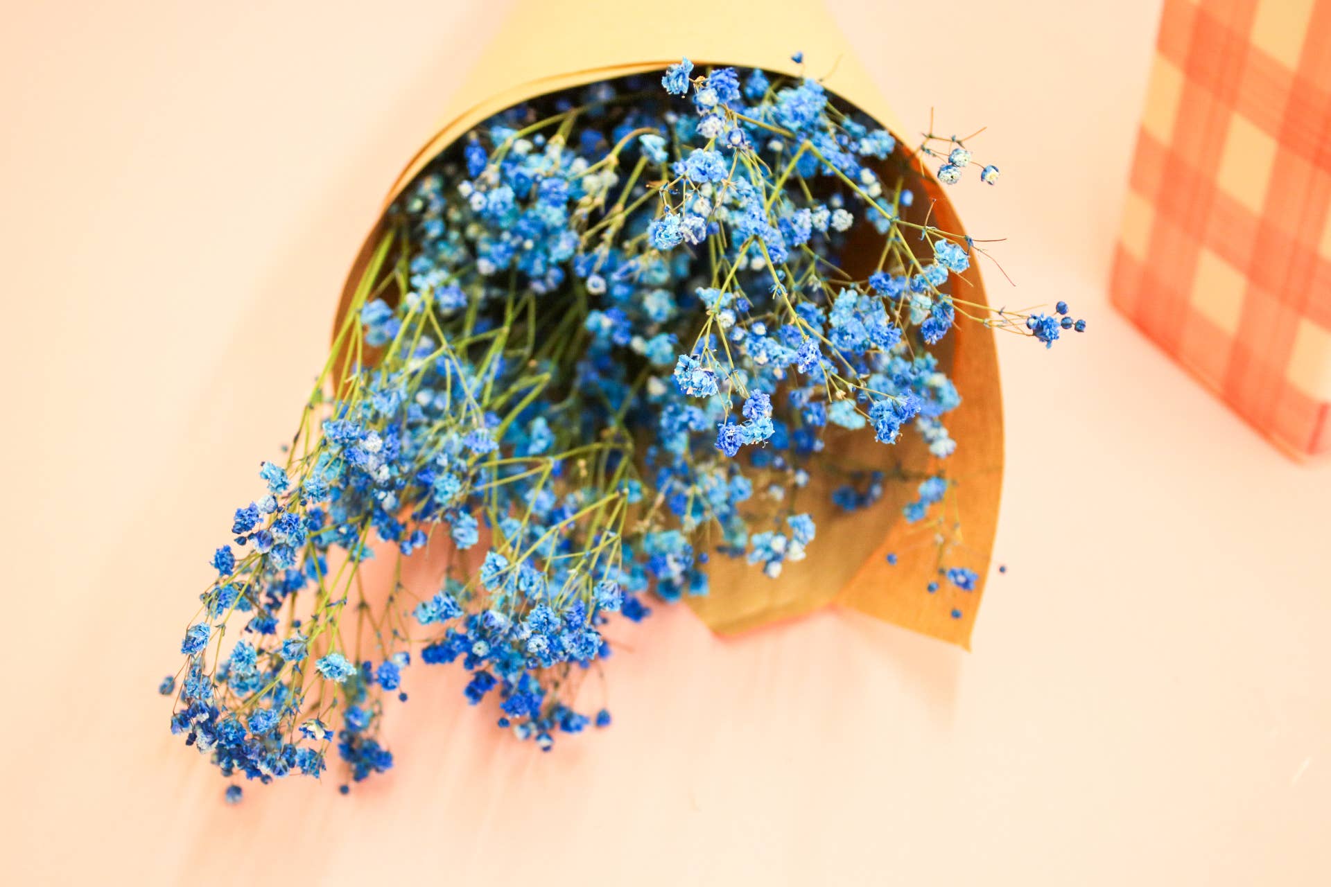 Wildestdreams.flowers - Wholesale Dried/Pressed Flowers - Dried Blue Gypsophila Baby's Breath 0