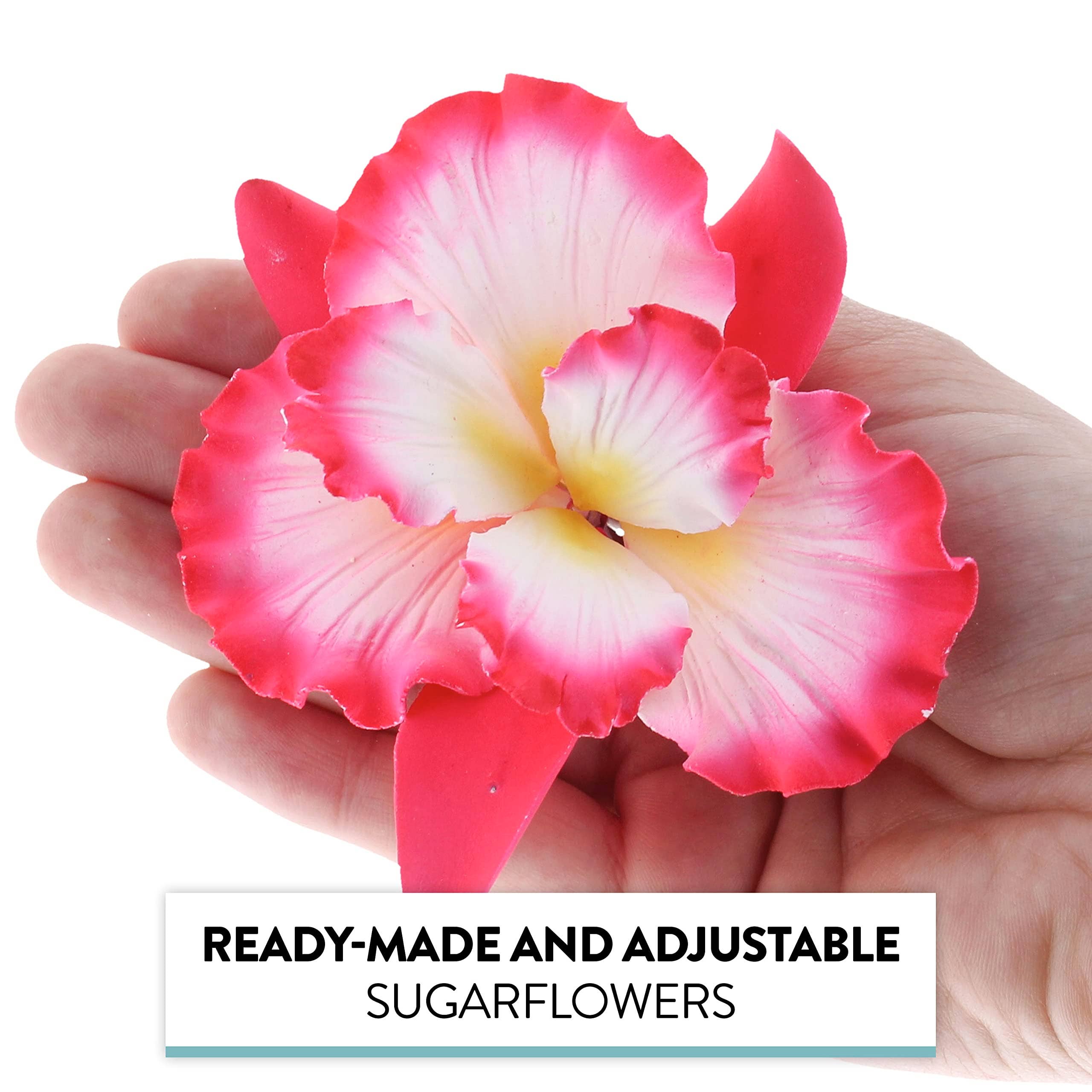 Global Sugar Art - Wholesale Cake/Cupcake Topper - Dutch Iris Sugar Cake Flower, Cake Topper by Global Sugar Art, Pink2