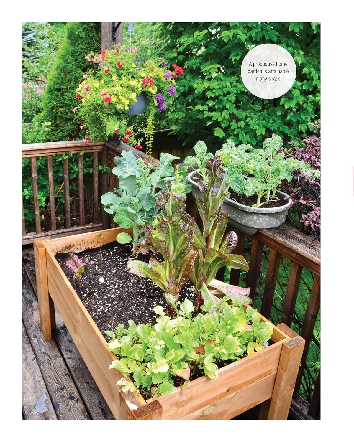Fox Chapel Publishing - Wholesale Home & Garden - Ultimate Guide to Planting & Growing Vegetables at Home (SC)2