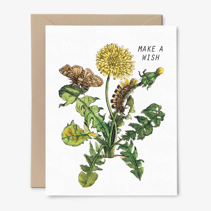 Hemlock House Studio - Wholesale Birthday Card - Make A Wish Dandelion Card | Vintage Floral | Botanical Art