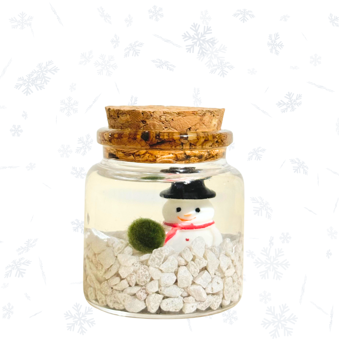 Moss Amigos | Moss Ball Terrariums - Wholesale Live Plant - Holiday Moss Rico3