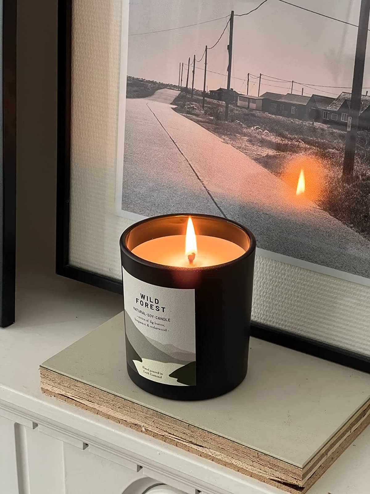 Ocoee House – wholesale Jar/filled candle – Wild Forest, Organic & Vegan Scented Candle | Ocoee House7