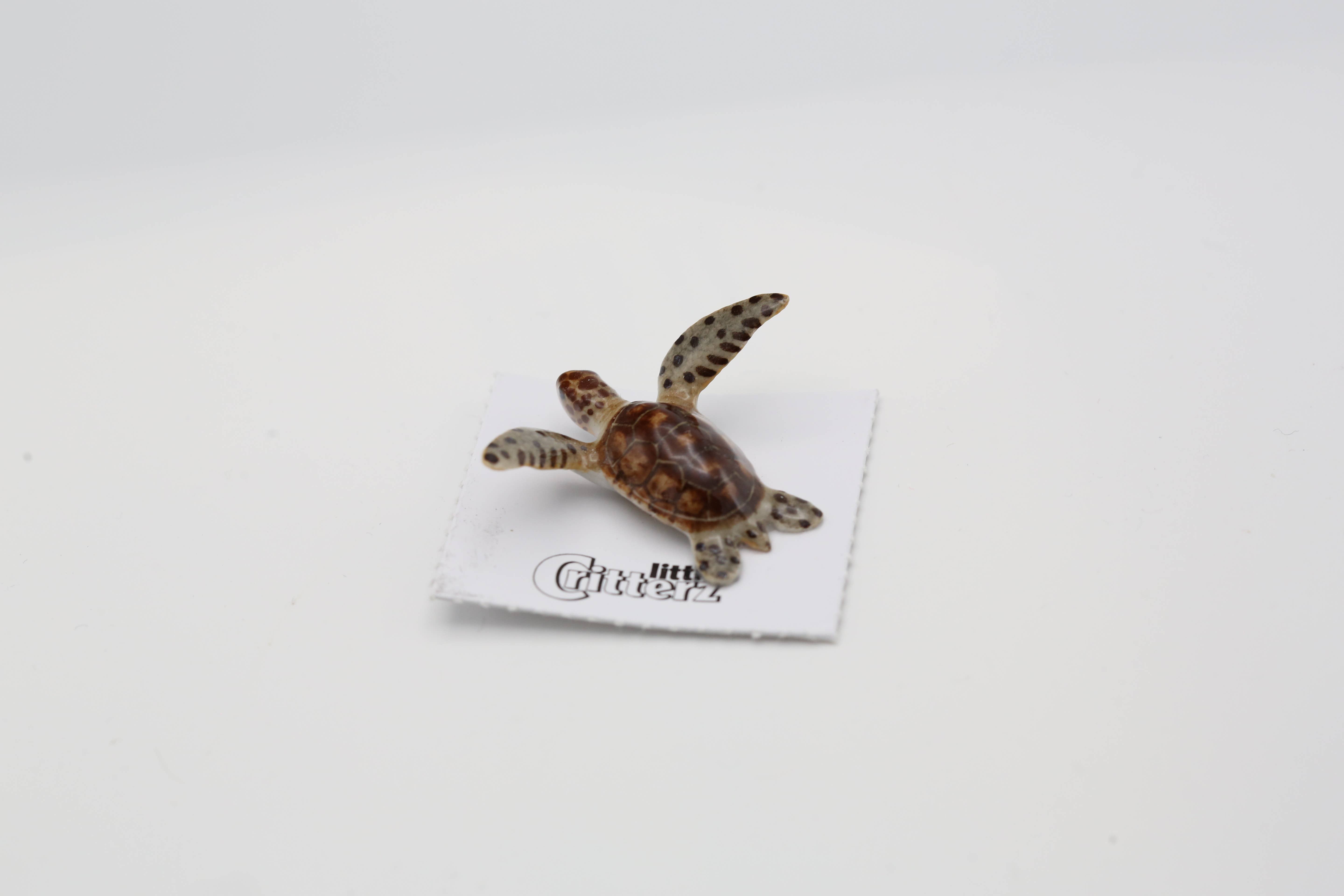 Little Critterz - Wholesale Decorative Figurine - Tortuga Green Sea Turtle Porcelain Miniature1