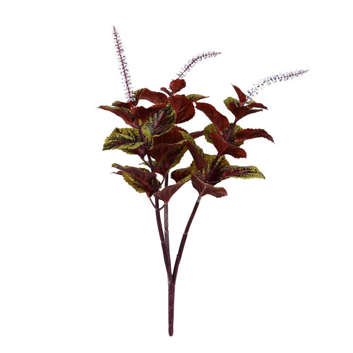 Green Vickerman 15" Green/Purple Perilla Stem 3/Pk for wholesale on Faire