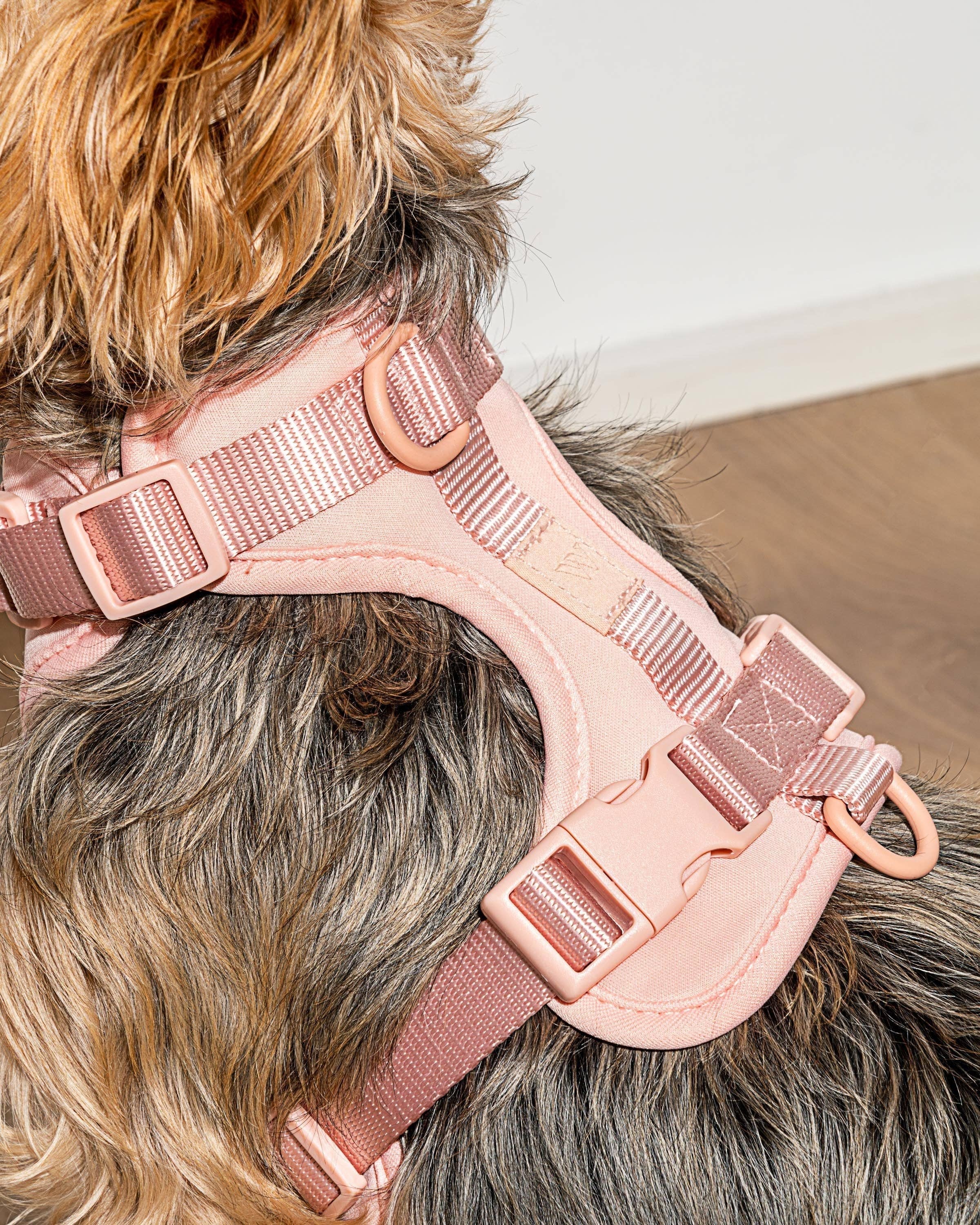 Wild One - Wholesale Pet Harness - Dog - Harness19