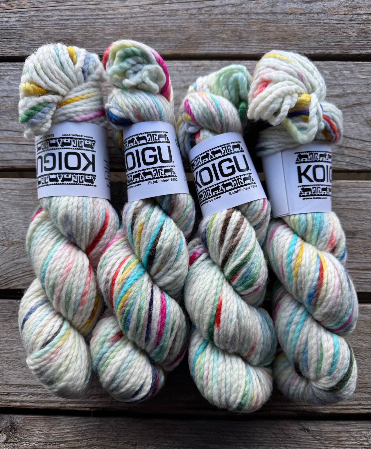 Koigu Wool Designs – Engroshandel Garn – Koigu Othello chunky merino garn gruppe A27