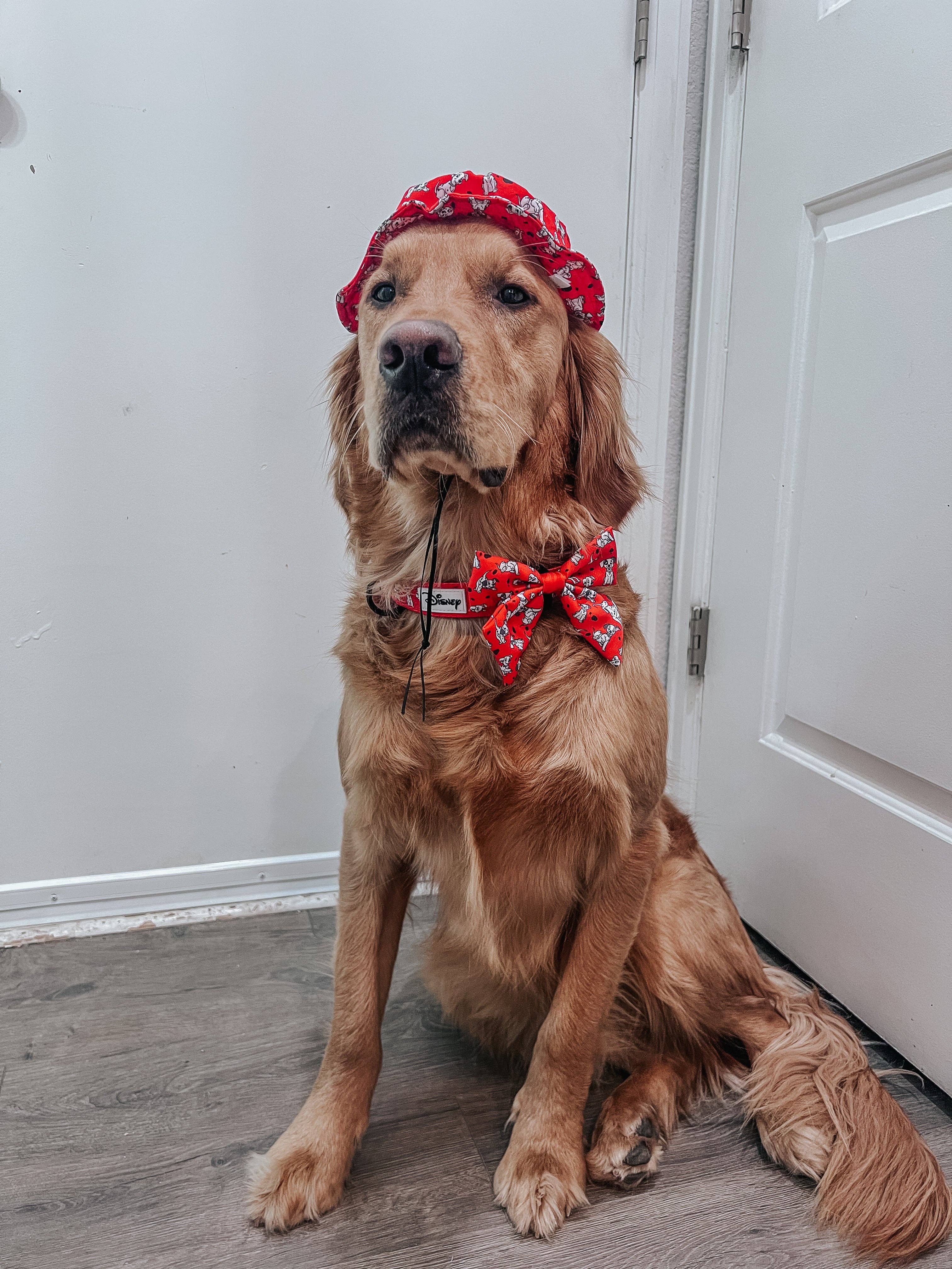 SASSY WOOF - Wholesale Pet Bow Tie - Dog - Dog Sailor Bow - Disney's 101 Dalmatians9