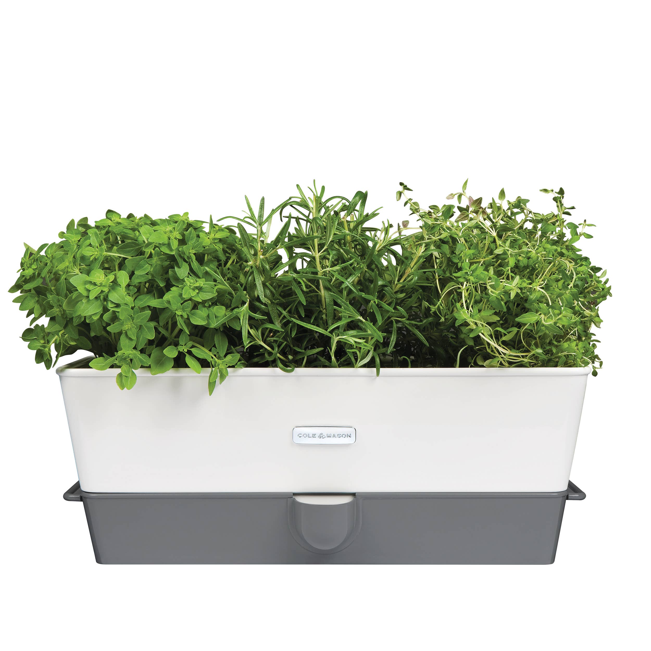 DKHB [Zyliss, Cole & Mason, Swissmar, AdHoc, Ken Hom] - Wholesale Plant Pot - Cole & Mason Self-Watering Potted Herb Keeper6