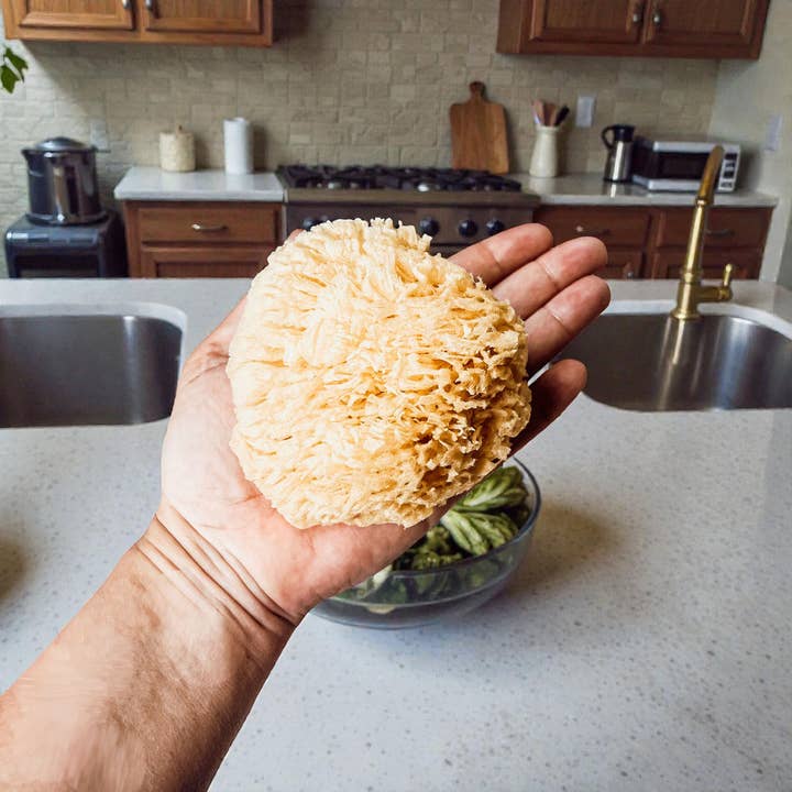 Gia Roma - Wholesale Bath Pouf/Sponge - Dead Sea Sponge, All Natural Body Wash Loofah 4-5"1