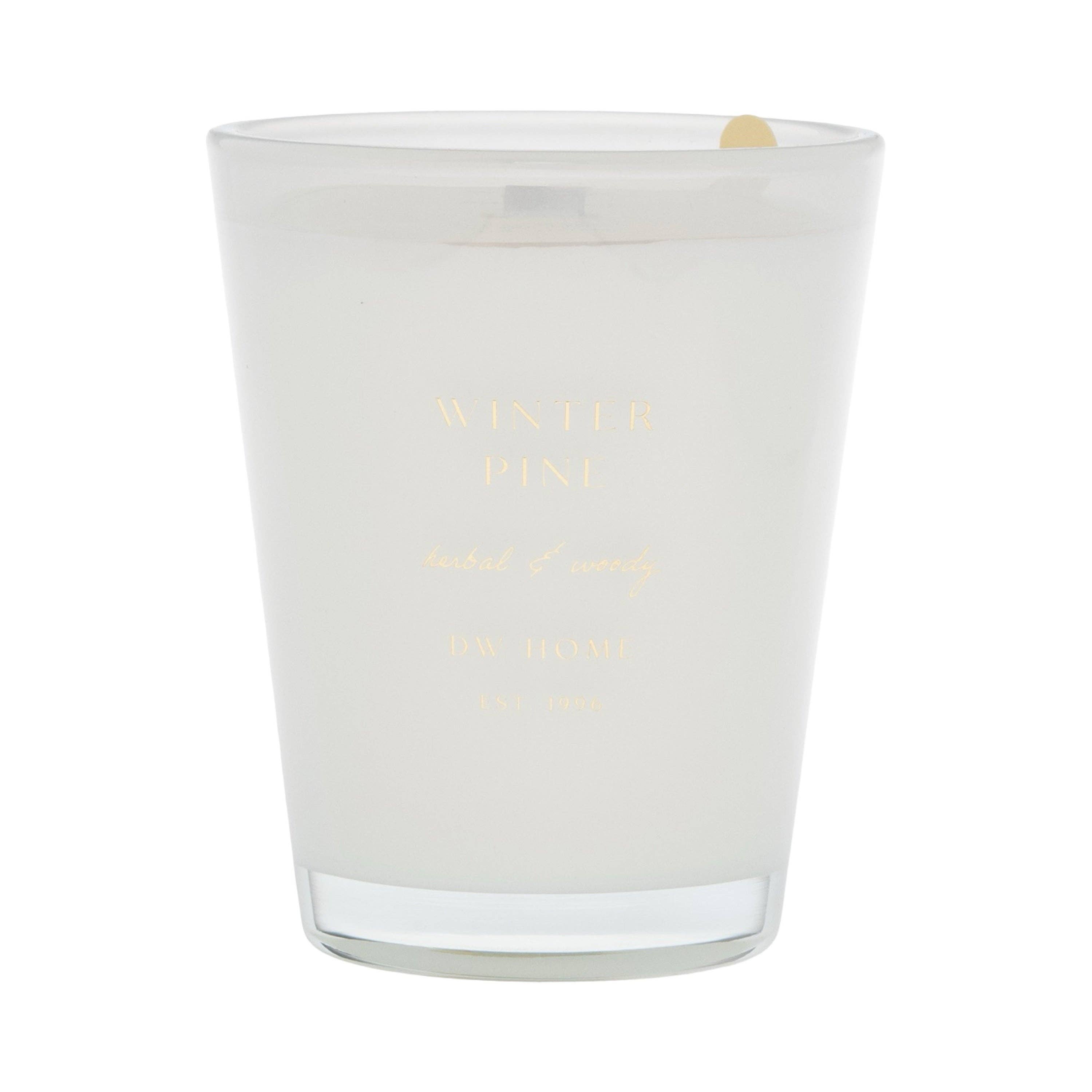 Goodies - Wholesale Jar/Filled Candle - Winter Pine0