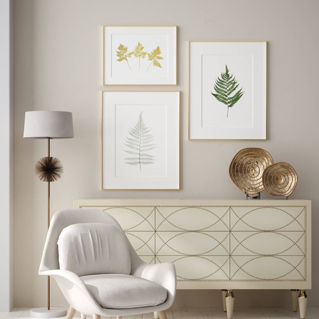 2626 Designs - Wholesale Dried/Pressed Flowers - Dried Preserved Fern 14"14