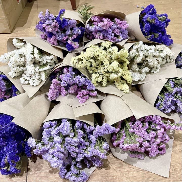 Kenty Home - Venta al por mayor Flores secas/prensadas - Flores de estatice secas2