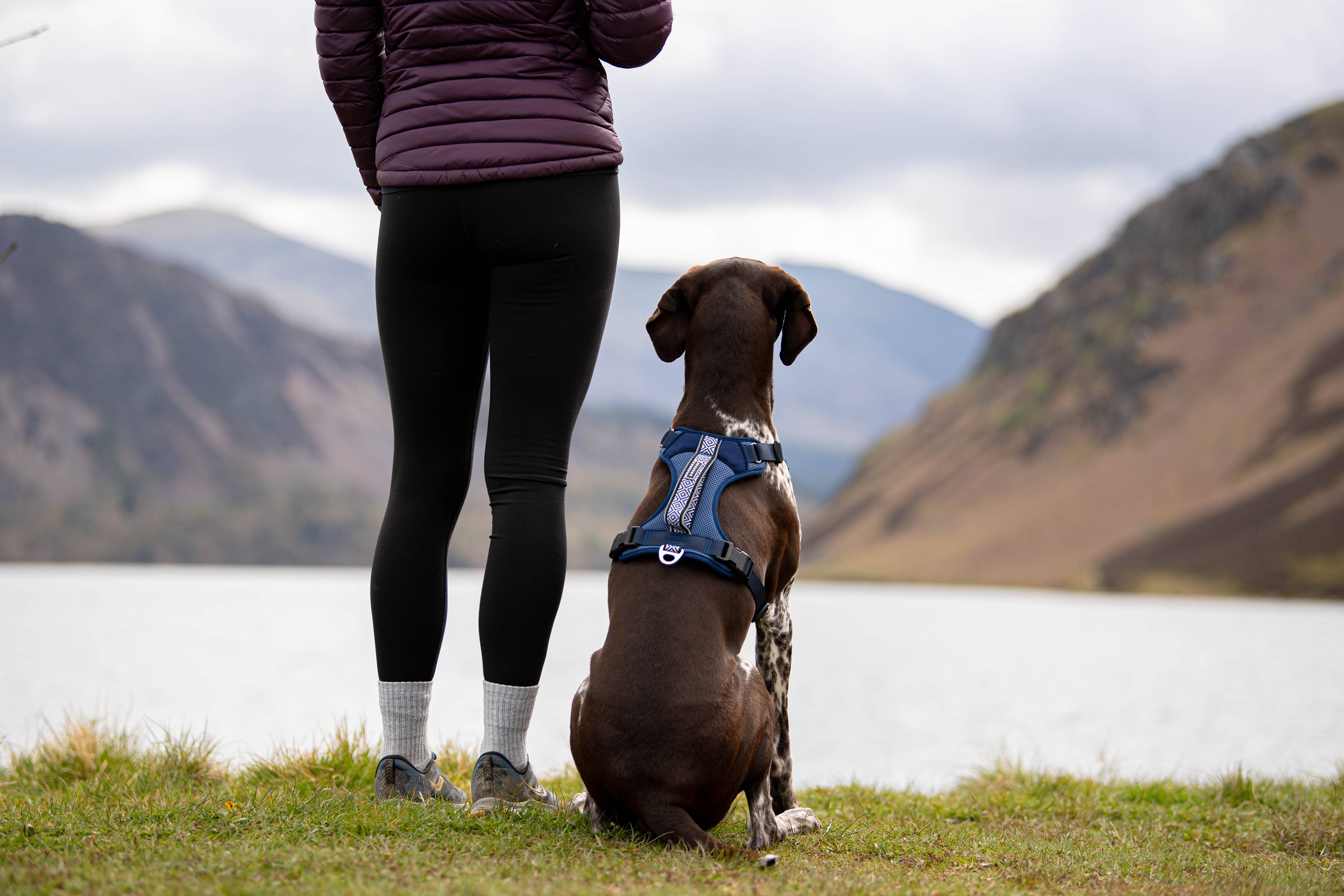 Air-Flow Harness - Dusk Blue for wholesale on Faire5