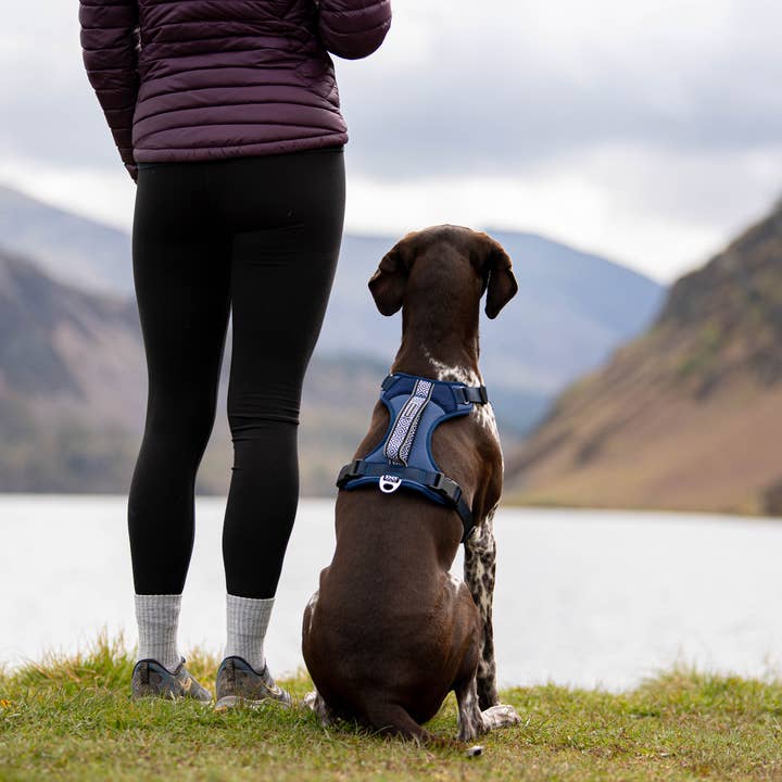 Air-Flow Harness - Dusk Blue for wholesale on Faire5