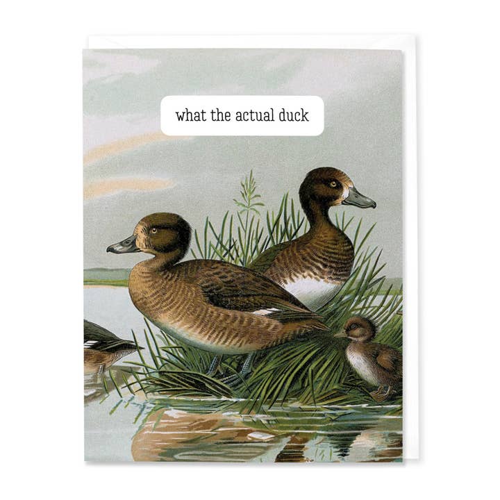 Hitchcock Paper Co. - Wholesale Stationery/Notecard Set - What the Actual Duck Card (Set of 8)