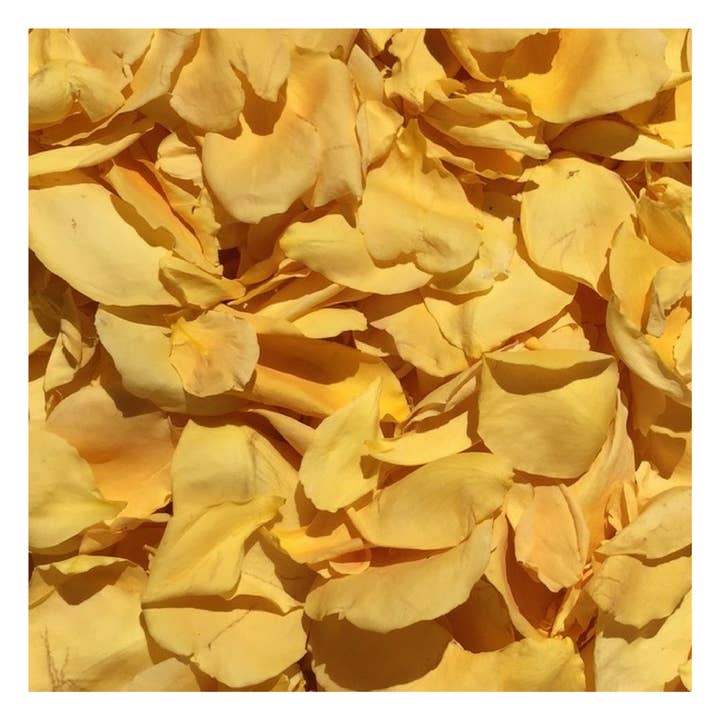 Yellow, Eco-friendly, freeze-dried rose petals. 30 Cups USA and other Purchase Wholesale yellow rose petals. Free Returns & Net 60 Terms on Faire trending on Faire.