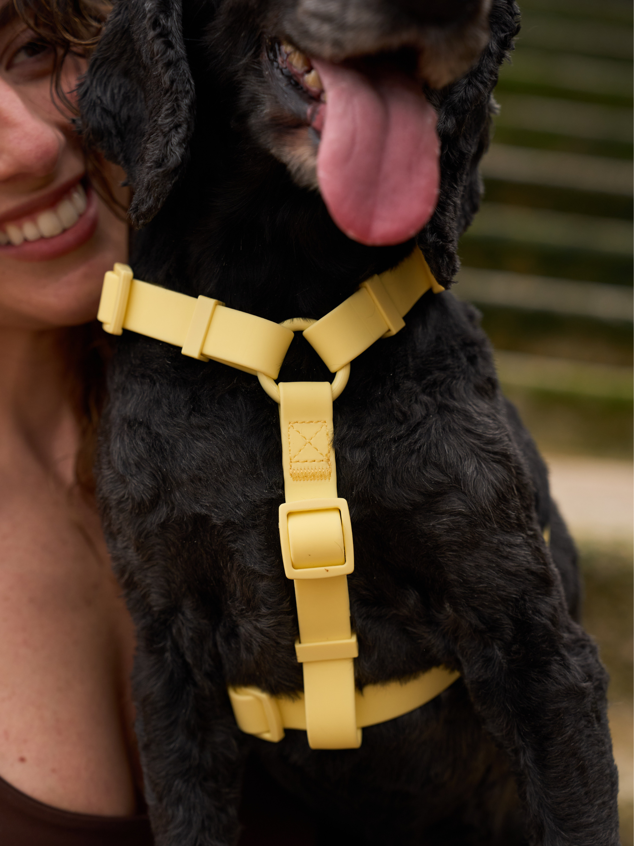 Dukier - Wholesale Pet Harness - Dog - YELLOW WATERPROOF DOG HARNESS1