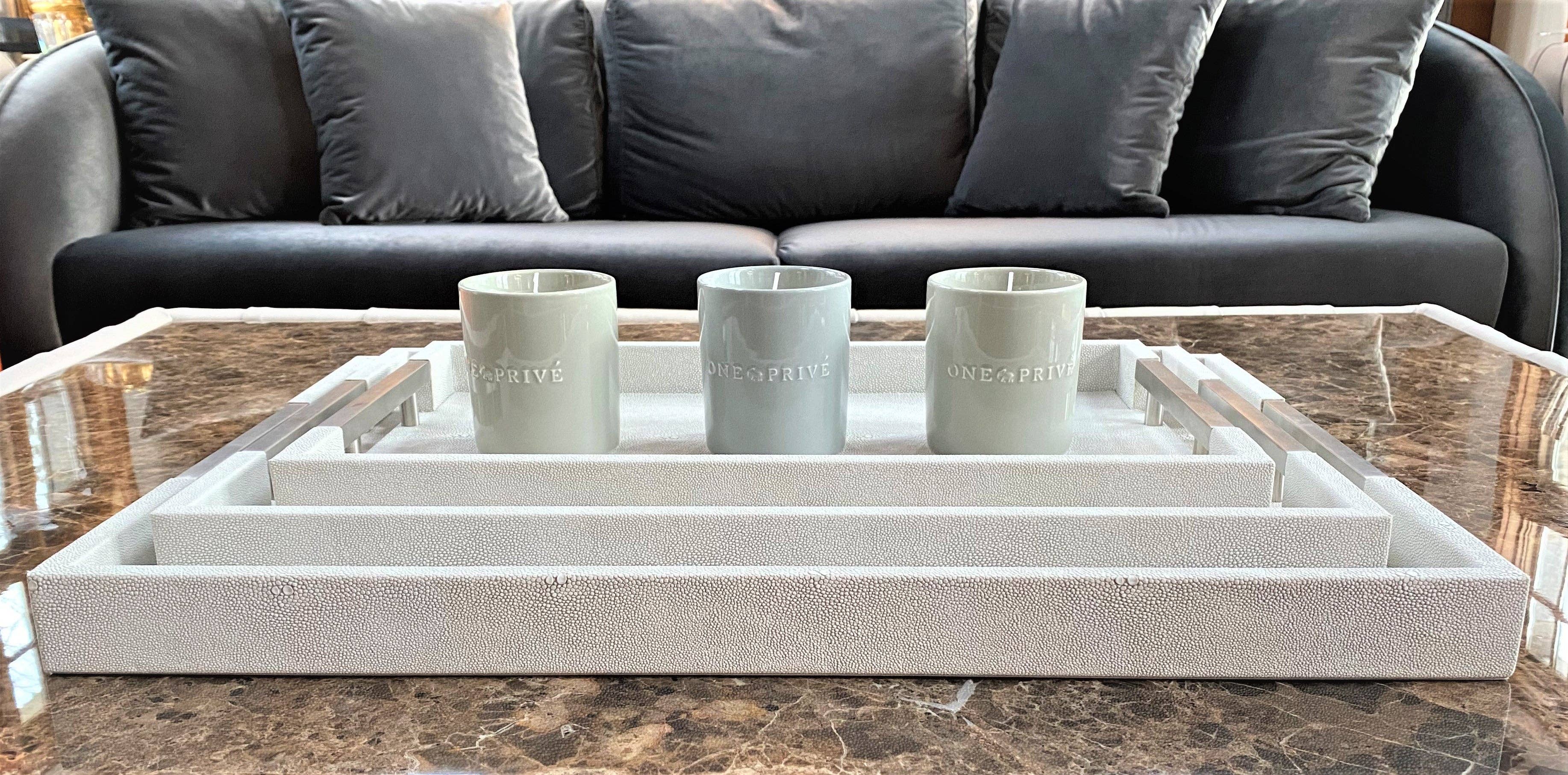 One Preevay Luxury Home Furniture & Decor - Wholesale Serving Tray - Thursby Luxury Shagreen Serving Tray | Exotic Embossed Leather | Nickel Handwear8