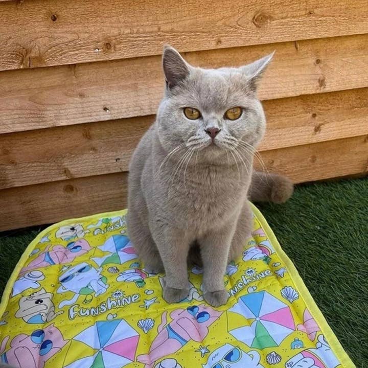 WufWuf - Wholesale Pet Mat - Dog - MyMeow Funshine Cool Cat Mat, Cooling Pet Mat, 48cm x 60cm