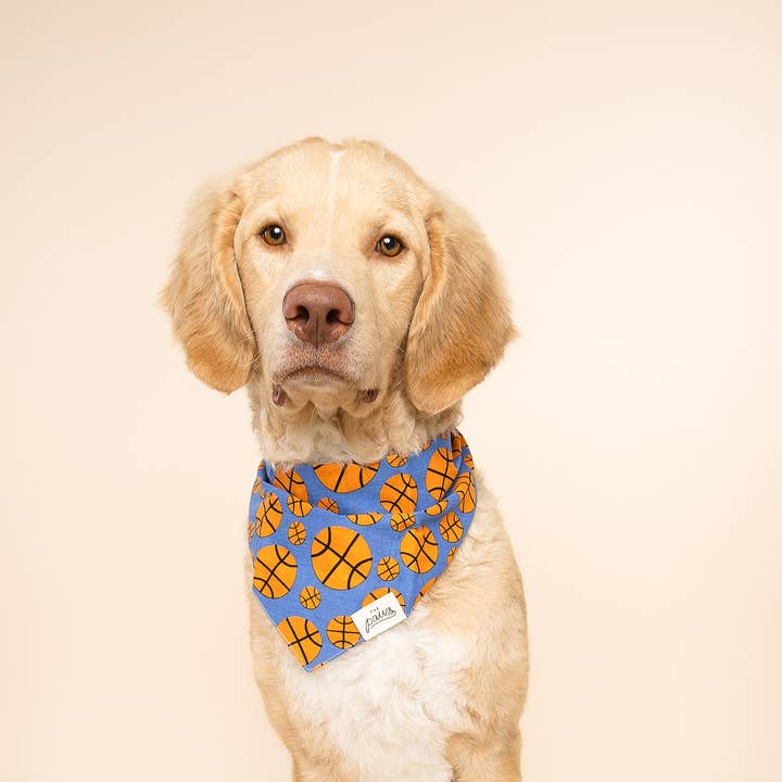 The Paws - Vente Bandana – chien - Bandana pour chien Dunk (Basketball)