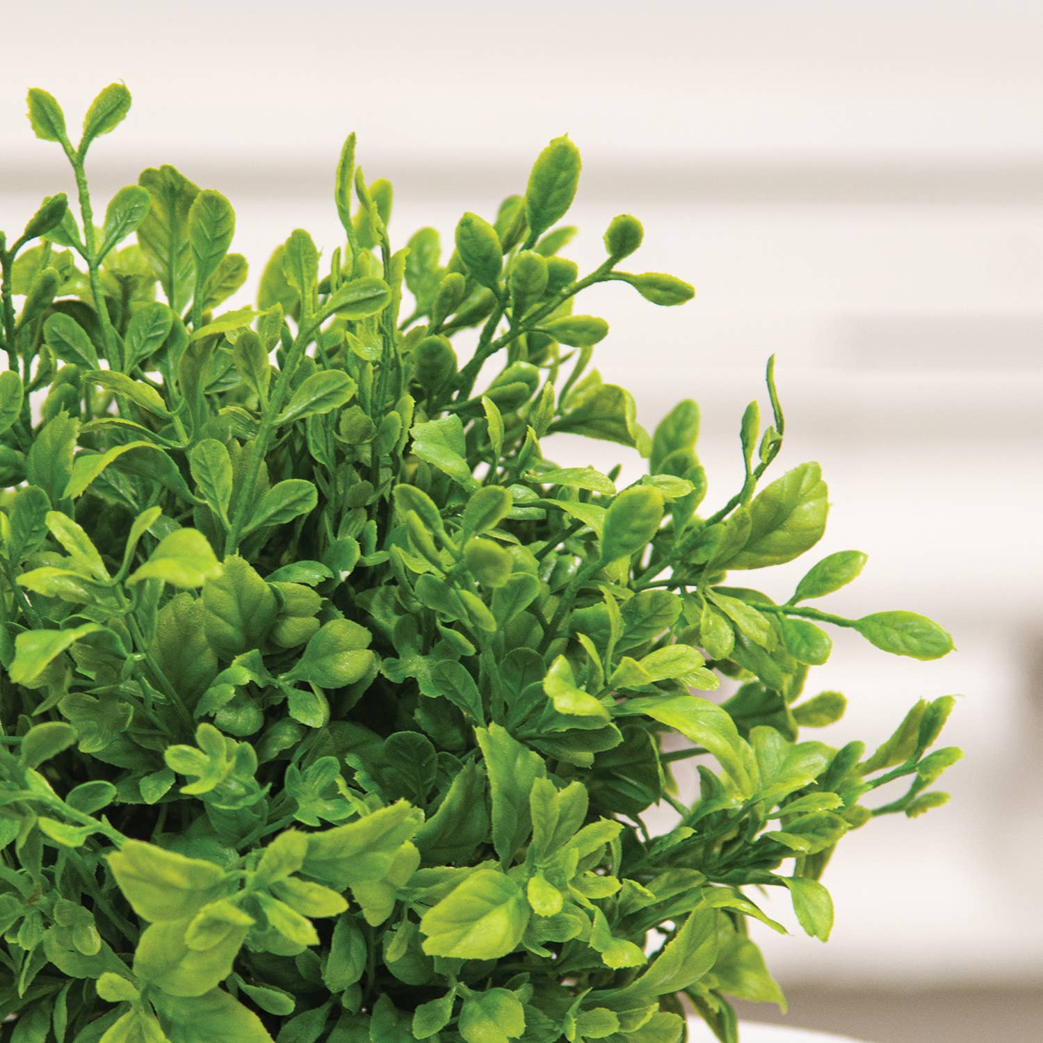 Saybrook Lane - Wholesale Artificial Plant - Evergreen English Boxwood Half Sphere - 9"x6"2