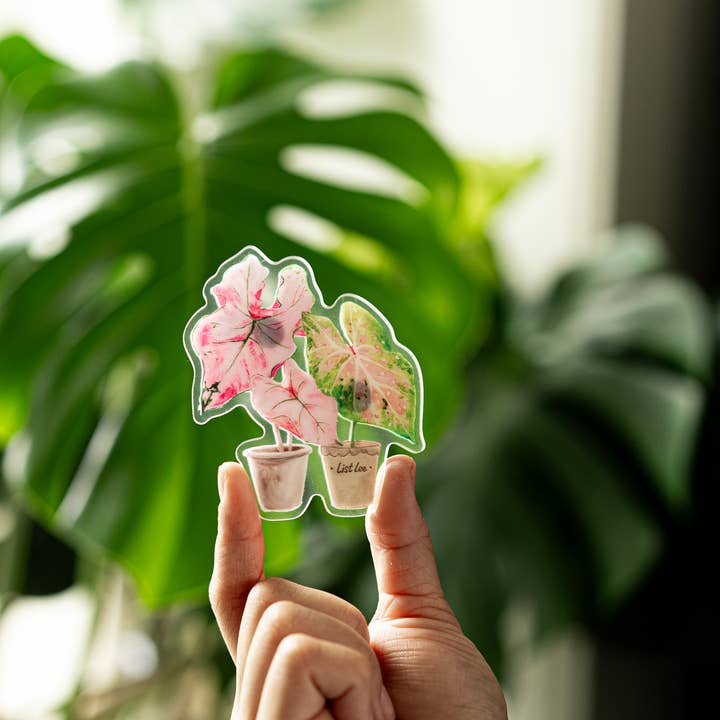 ZOETSTUDIO - Wholesale Magnet - Double-sided Tropical Plant Magnets