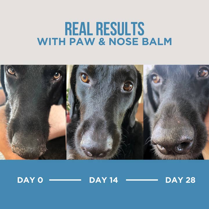 Natural Rapport - Wholesale Pet Balm - Dog - The Only Paw & Nose Balm Dogs Need