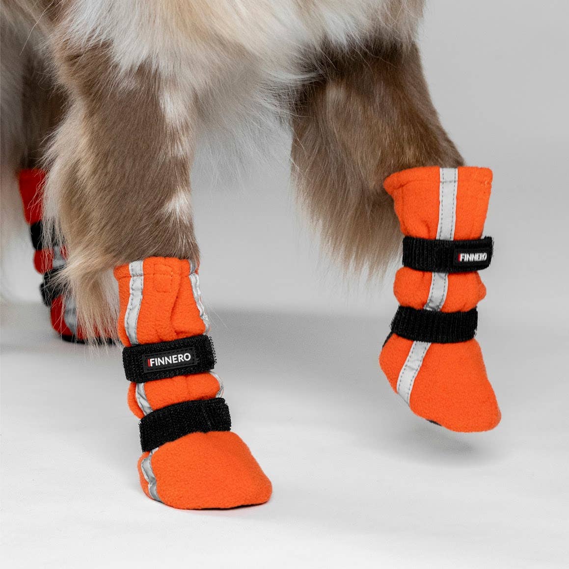FINNERO - Wholesale Pet Boots - Dog - FINNERO HALLA REFLECTIVE Booties For Dogs 4pcs/pac, 3 Colors15